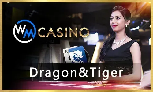 SA Gaming Live Dealer